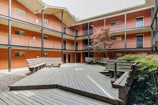 250 Little St in Athens, GA - Building Photo