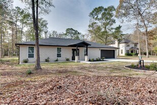 10622 Rustling Oaks Dr in Conroe, TX - Building Photo