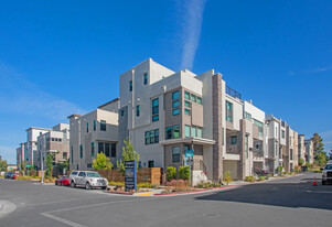 Nuevo in Santa Clara, CA - Building Photo