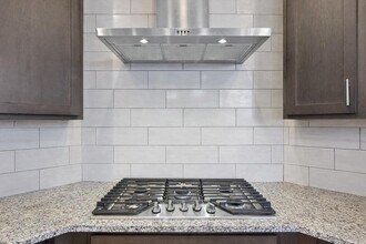 3814 Chance Loop in Round Rock, TX - Building Photo - Building Photo