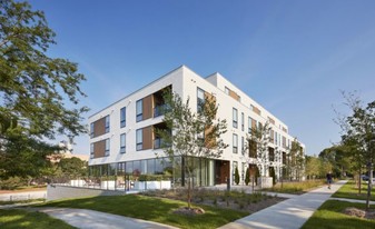 Lofts at Mayo Park Apartments