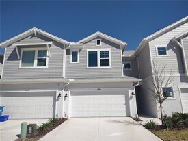 3664 Clay Pot Dr in Land O Lakes, FL - Building Photo