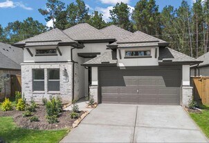 8463 Int'l Fls Dr in Porter, TX - Building Photo