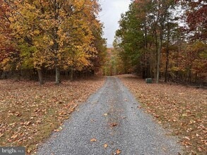 2289 Potomac Rd in Berkeley Springs, WV - Building Photo - Building Photo