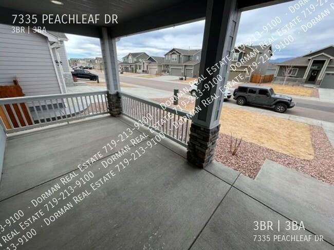 7335 Peachleaf Dr in Colorado Springs, CO - Building Photo - Building Photo