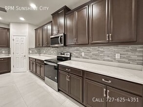 13413 Palmera Vista Dr in Riverview, FL - Building Photo - Building Photo