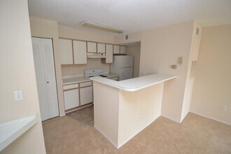 4105 Tropical Isle Blvd in Kissimmee, FL - Building Photo - Building Photo