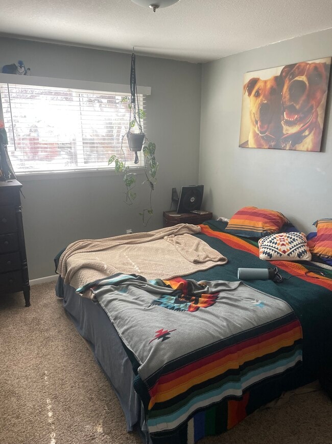 1925 W Plum St in Fort Collins, CO - Building Photo - Building Photo