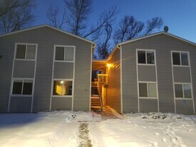 1355 Cherry St, Unit A in Fort Collins, CO - Building Photo