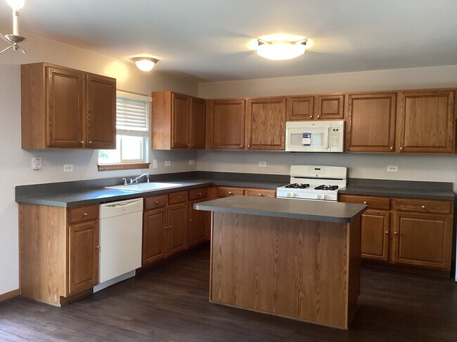 27450 W Fawn Lake Ct in Channahon, IL - Building Photo - Building Photo
