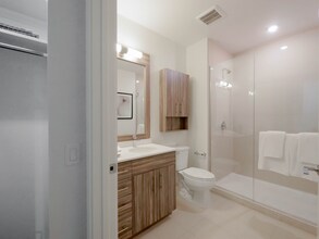 433 E Ohio St in Chicago, IL - Building Photo - Building Photo