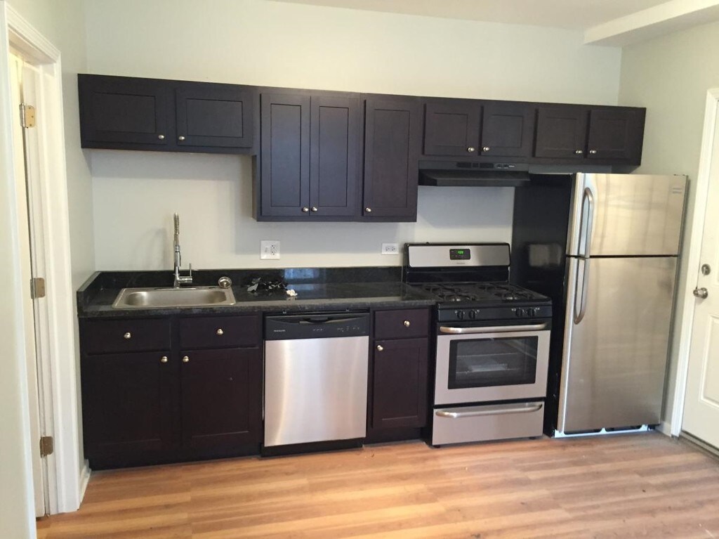 Pilsen 4Unit Apartment Building Chicago, IL Apartments For Rent