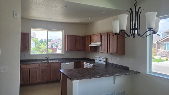 438 Halcyon Wy in Windsor, CO - Building Photo - Building Photo