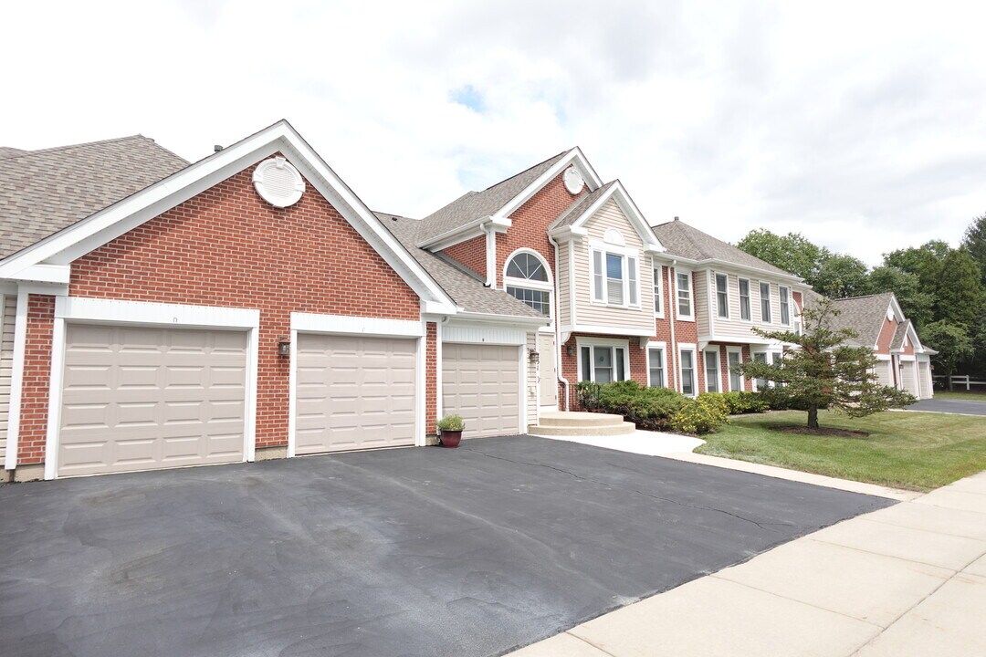 231 University Ln in Elk Grove Village, IL - Building Photo