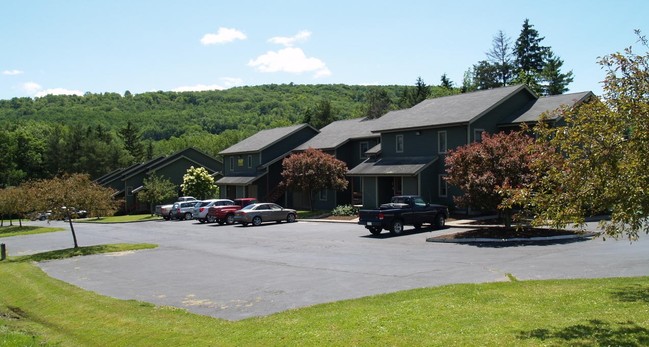 4 Elm St in Alfred, NY - Foto de edificio - Building Photo