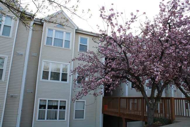property at 20 Deer Run Ct