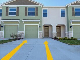 11367 Velvet Apricot Dr in Land O Lakes, FL - Building Photo
