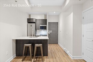 3546 Rue Durocher in Montréal, QC - Building Photo