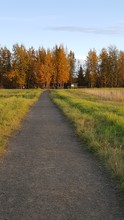 Willow Woods Apartments in Fairbanks, AK - Building Photo - Building Photo