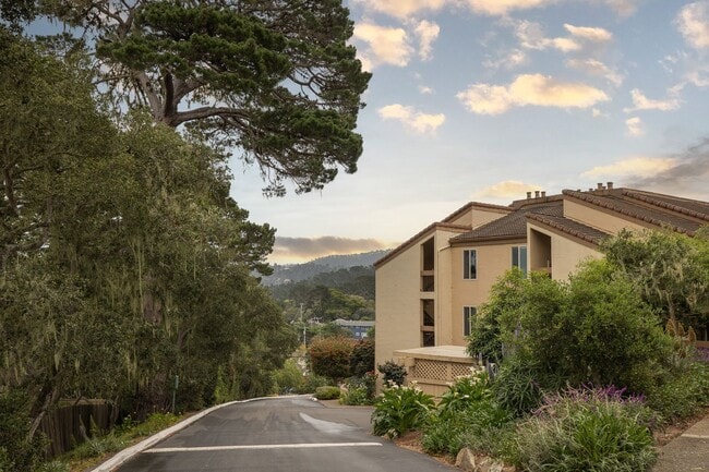 property at 3205 Golden Oaks Ln