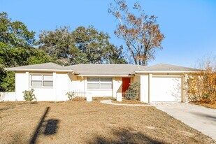 11103 Mayflower Rd in Spring Hill, FL - Building Photo