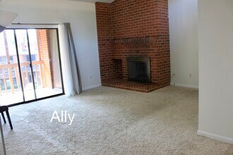 140 Green Turtle Ln in Charlottesville, VA - Building Photo - Building Photo