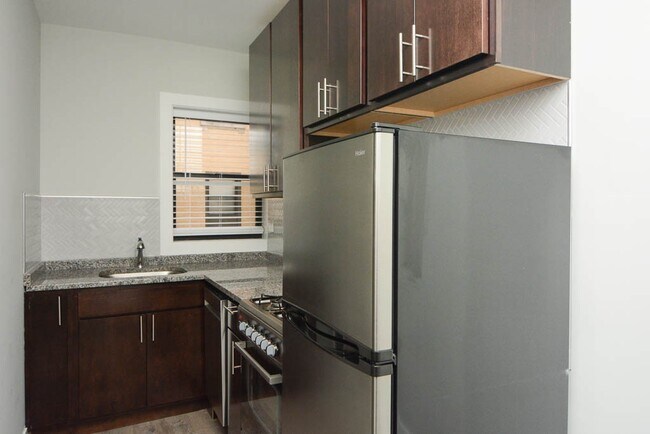 432.5 W Belden Ave in Chicago, IL - Building Photo - Building Photo