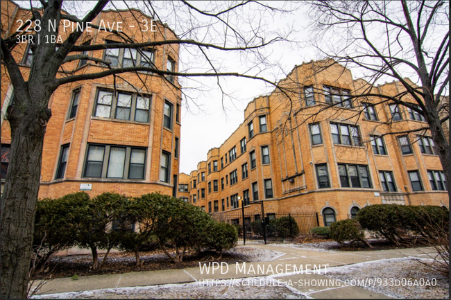 228 N Pine Ave in Chicago, IL - Foto de edificio - Building Photo