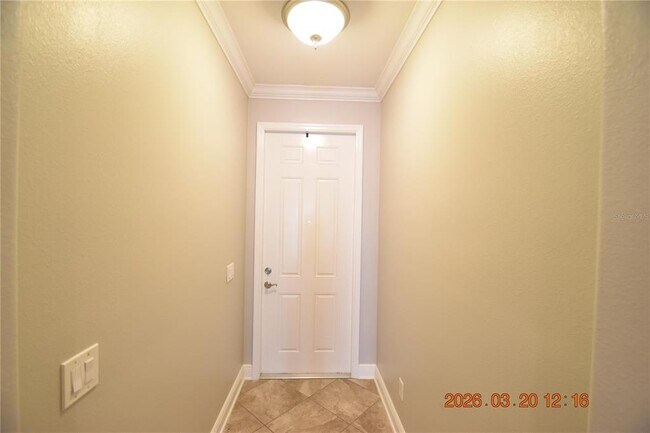 7108 S Trask St in Tampa, FL - Building Photo - Building Photo