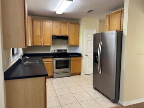 30204 Goodwick Way in Wesley Chapel, FL - Building Photo - Building Photo