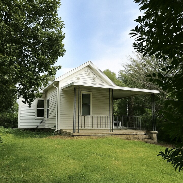 723 N 7th St in Louisiana, MO - Building Photo
