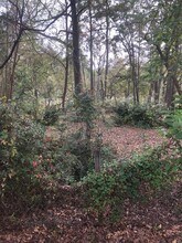 1965 Macon Ave in North Charleston, SC - Building Photo - Building Photo