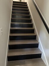 251 Stribling Ave in Charlottesville, VA - Building Photo - Building Photo