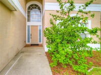 18317 Cypress Haven Dr in Tampa, FL - Foto de edificio - Building Photo