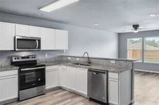 1625 Chestnut St in Anna, TX - Building Photo