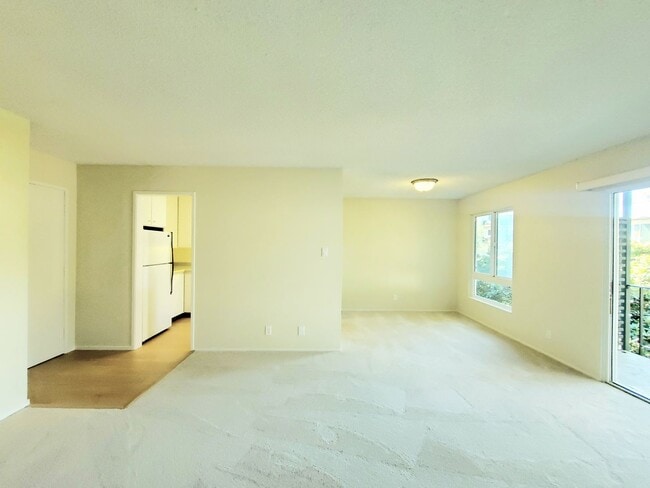 816 N Delaware St in San Mateo, CA - Building Photo - Building Photo