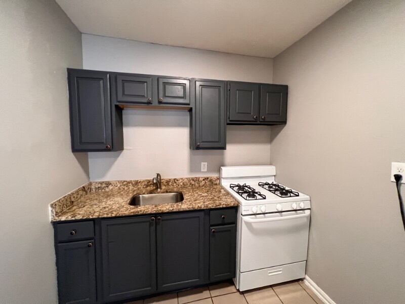3725 W Grand Ave-Unit -2N in Chicago, IL - Building Photo