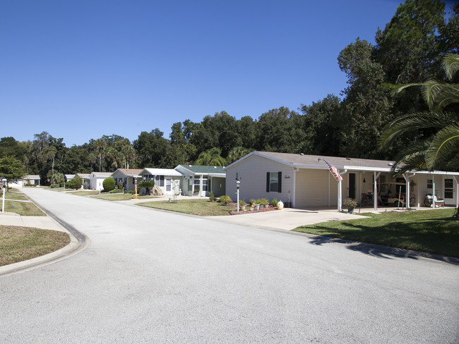 Plantation Oaks in Flagler Beach, FL - Building Photo - Building Photo