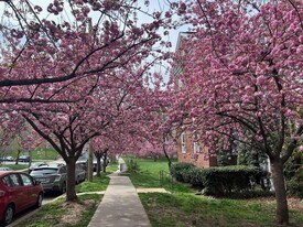 3541 39th St NW in Washington, DC - Building Photo