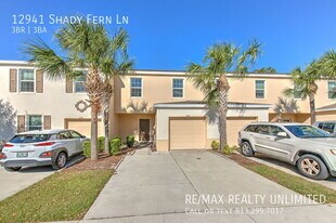 12941 Shady Fern Ln in Gibsonton, FL - Building Photo