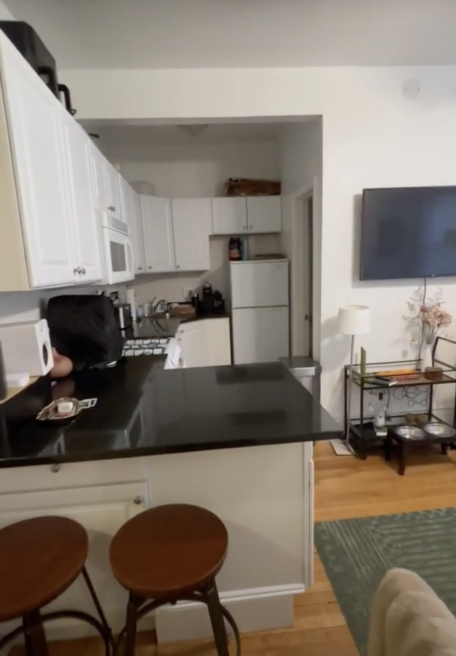 4 Haviland St, Unit 30 in Boston, MA - Building Photo - Building Photo