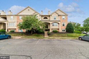 8159 Bayonet Way in Manassas, VA - Building Photo