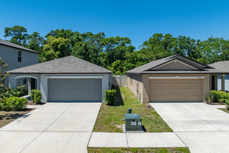 Preserve at Pinegrove in Riverview, FL - Foto de edificio - Building Photo