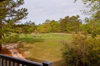 1123 Blue Stem Dr in Pawleys Island, SC - Building Photo - Building Photo