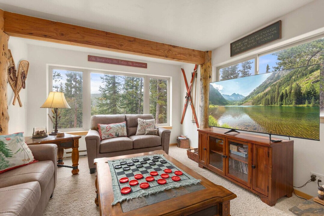 1736 Valley of the Sun Dr in Fairplay, CO - Building Photo