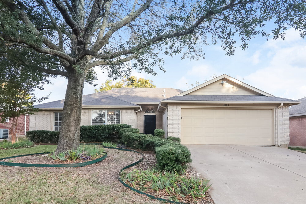 3003 Dove Valley Ln in Mansfield, TX - Building Photo