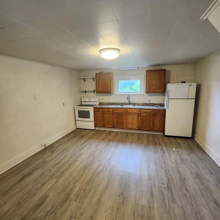 379 W Main St in Fredonia, NY - Building Photo