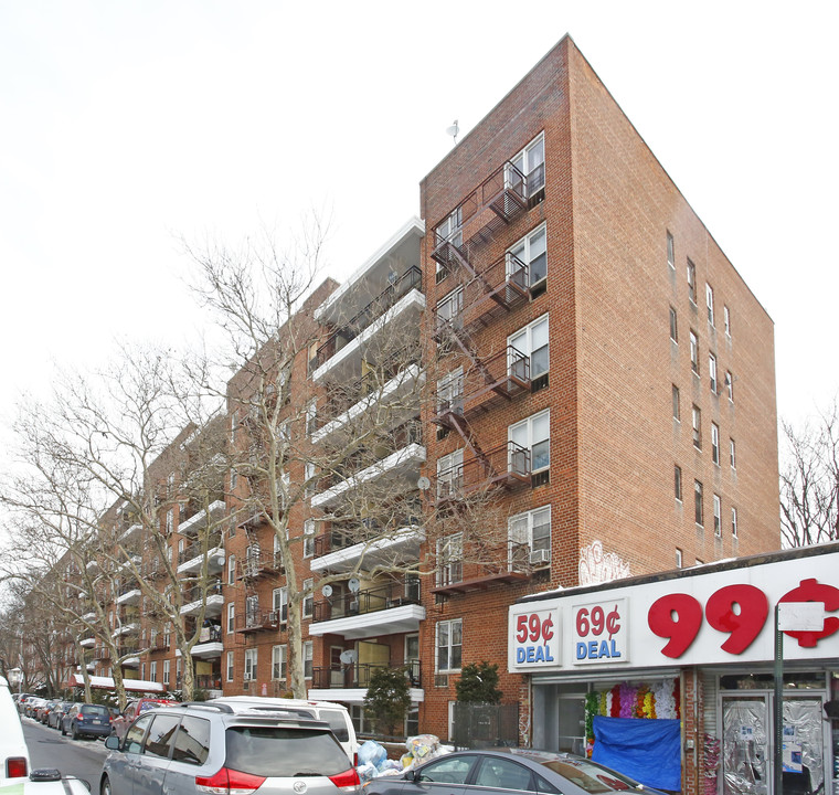 The College in Brooklyn, NY - Building Photo