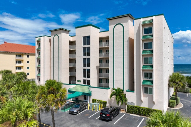 Royal Palm