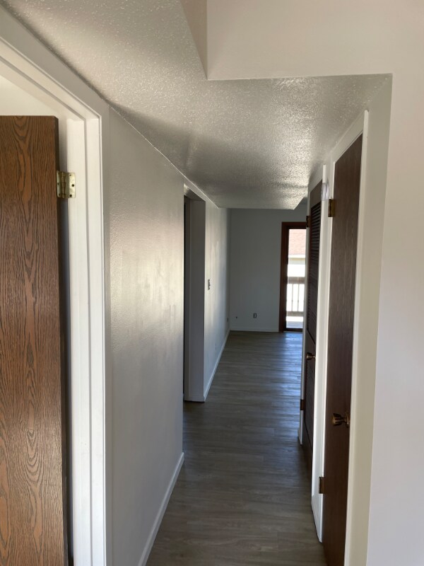 2088 NW Hickory Ln in Ankeny, IA - Building Photo - Building Photo